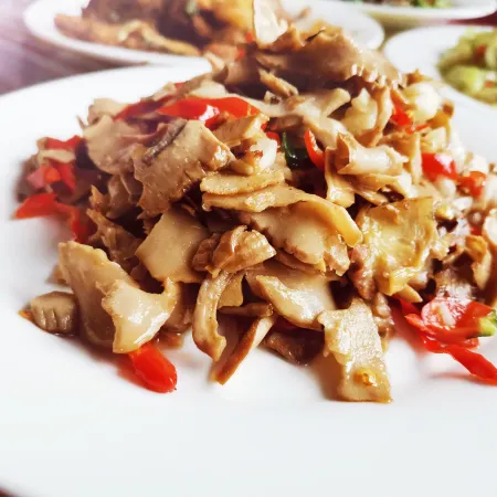 Shennonggu Qingyuan No.11 Homestay