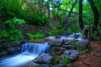 China Railway and Yuanhongyu Health Resort
