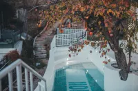 Qiran·Rustic Rutal Resort Villa  (Mutianyu Great Wall Branch） - piscina