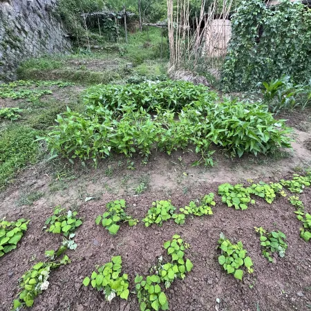 Hilltop Hanshe