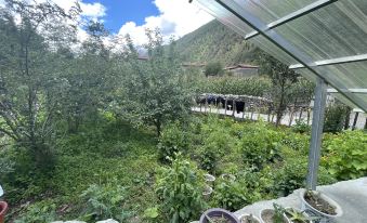 Lotus Lake Landscape Residence