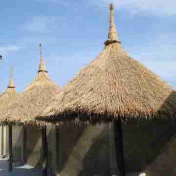 Golden Palace Guest Inn Hotel Exterior