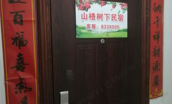 Yuanpingshan Yushuxia Homestay