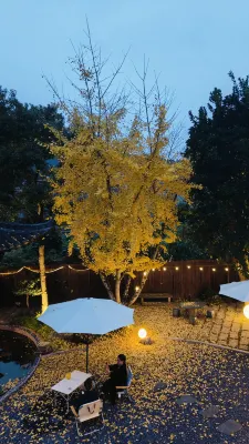 Jingdezhen Ren'anju Ginkgo Courtyard (Sanbao)