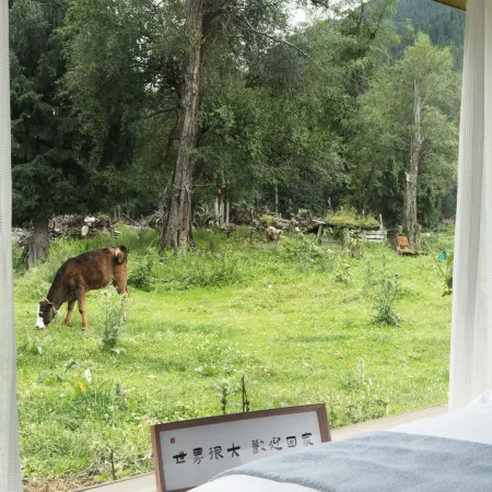 Xingxiu·In the Forest B&B