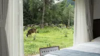 Xingxiu·In the Forest B&B - Airport Shuttle