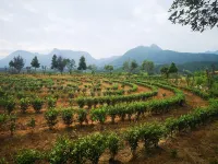 Wuyishan  Le Yin Shan Li Guesthouse