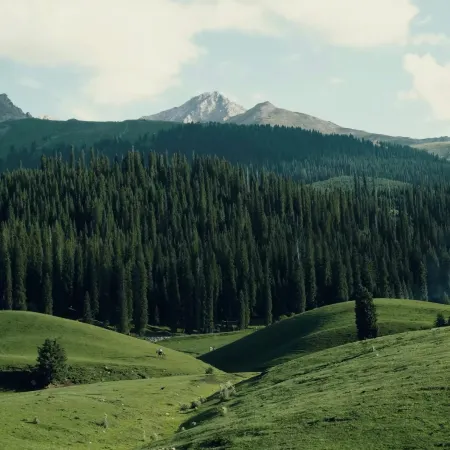 Cloud-hidden Mountain Abode