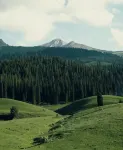 Cloud-hidden Mountain Abode