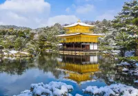 Urban Hotel Kyoto Shijo Premium