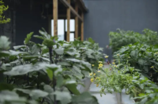 CHENGDU RENMIN SOUTH ROAD Hotels in Chengdu