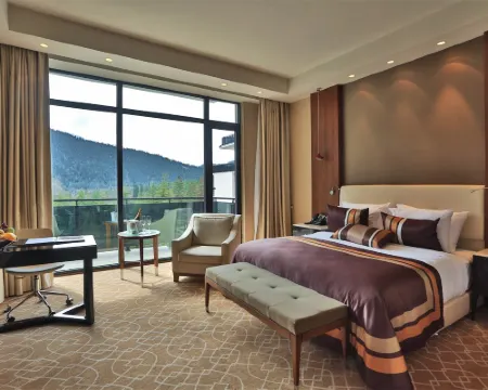 Borjomi Likani Health & Spa Centre Hotels in Borjomi