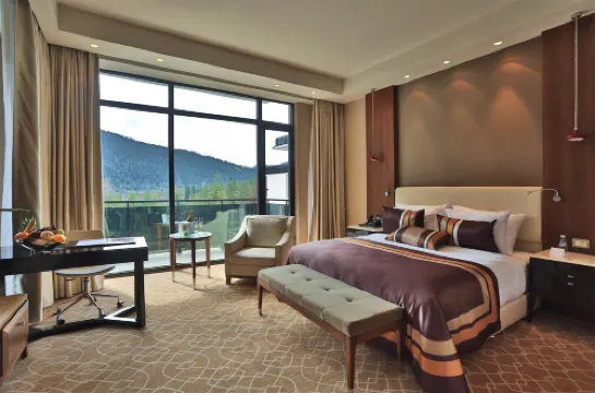 博爾若米利卡尼健康水療中心