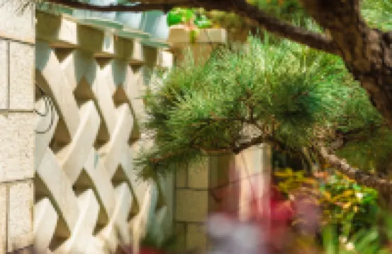 HAW THORN BY WYNDHAM(Xianggelila Dukezong Old Town)