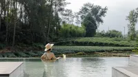 miielle Hotel a Pujiang