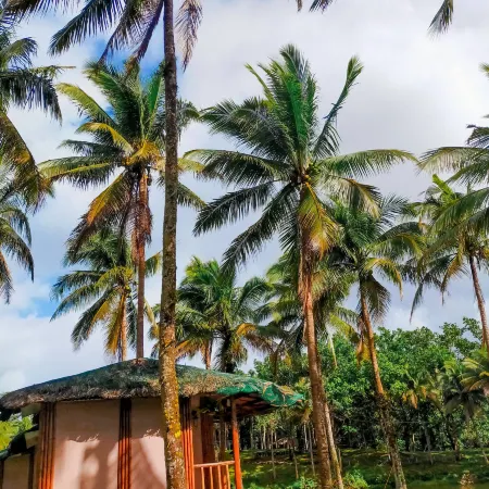 Caliraya Ecoville Recreation and Farm Resort