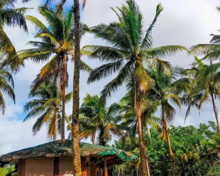 Caliraya Ecoville Recreation and Farm Resort Hoteles en Lumban