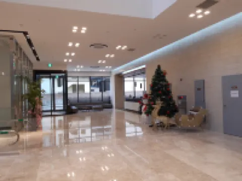 Sunrise Hotel 11F junior suite Room