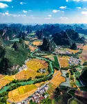 芳園·大新｜RURAL SCENERY 隱世田園度假美宿（明仕田園店）