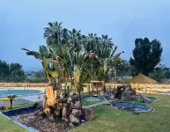 Jinxi Hot Spring Hotel - เปิดใหม่