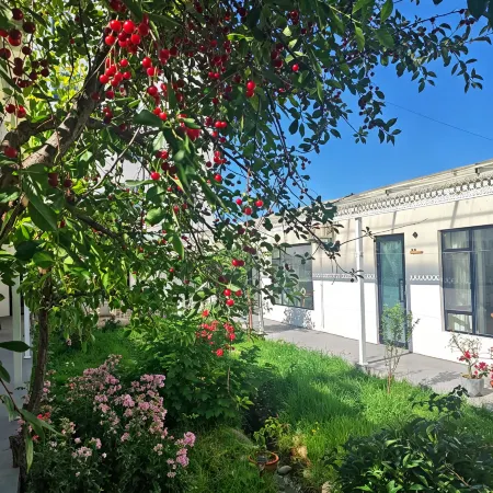 Tukes Qingyumu Homestay