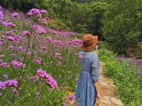 雁荡山茶田吾舍客栈 - 其他