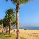 惠州覓嶼·海邊度假美宿