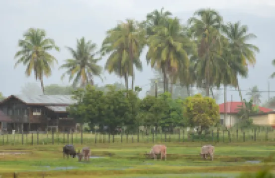 浮羅交怡利馬桑別墅