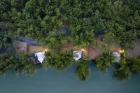 Bamboo Forest Wonderland