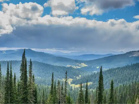 Hotels in Rogue River