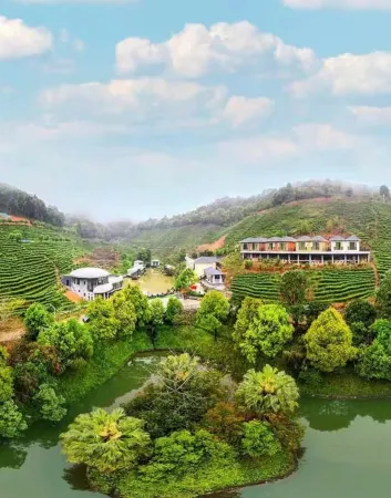 Zijin Yingfengshan Cha Lü Featured Homestay