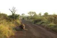 Grace of Africa, Couples 5 Star Nature Lodge