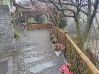 Southern Sichuan Bamboo Sea Qingyuan Homestay Hotels in Changning