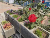 Xinhai Guest House 뤼순/여순 군항-신마트-대학타운 호텔