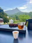 Early Spring Red Guesthouse - Homestays