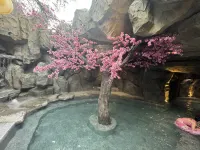 Nanqiao Qingcheng Hot Spring & Cinema Hotel (Dujiangyan Scenic Area Branch) - avec sources thermales