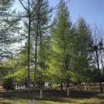 Yunduo Holiday Hotel (Qitaihe Pedestrian Street) Hotels in Qitaihe