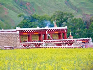 Daoqi Lotus Shengqi Style Homestay