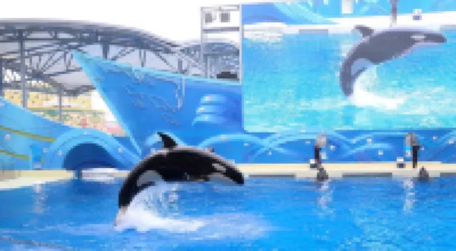 SHANGHAI HUPANJIAYUAN homestay