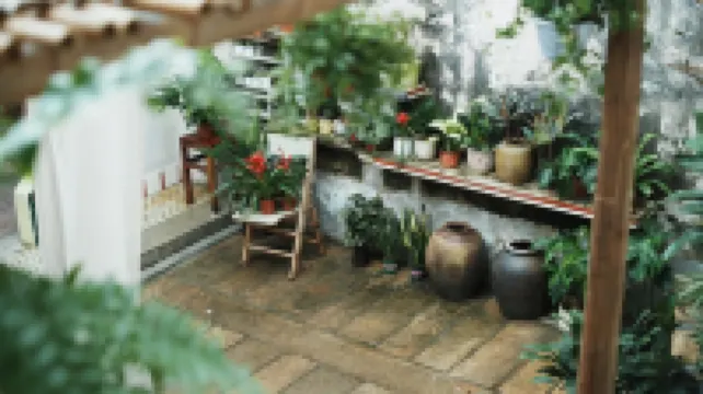 Shankara Youth Hostel Hotels in 