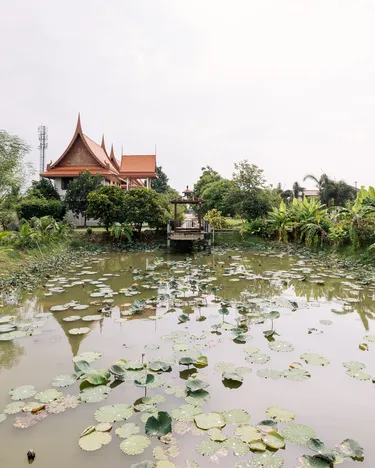 รูปภาพของไทยโฮม รีสอร์ท