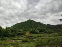 Xinde Homestay
