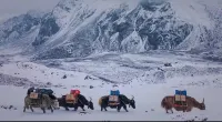 Dianfeng Inn (Zhu Feng Xiaozhen)