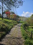 Baishan Xunshanke Camping Holiday Base