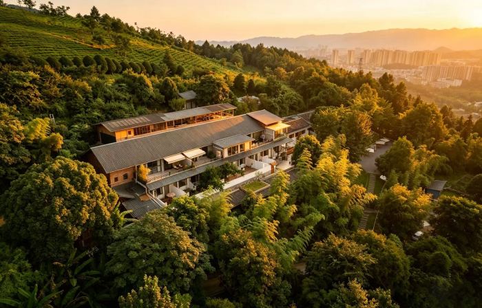 Zhinanyu Tea Homestay