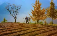 Yunshishan Mountain Homestay - 2 étoiles