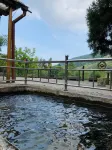 Tianmushan Longfengzhu Homestay