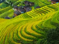 Qingfeng Yazhu Homestay Hotels in Longsheng