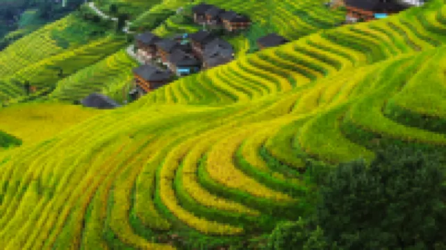 Qingfeng Yazhu Homestay