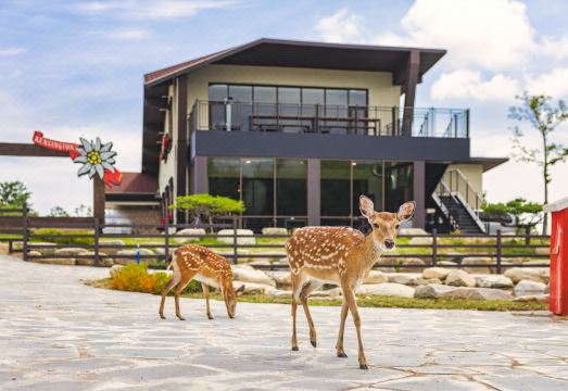 켄싱턴리조트 설악밸리